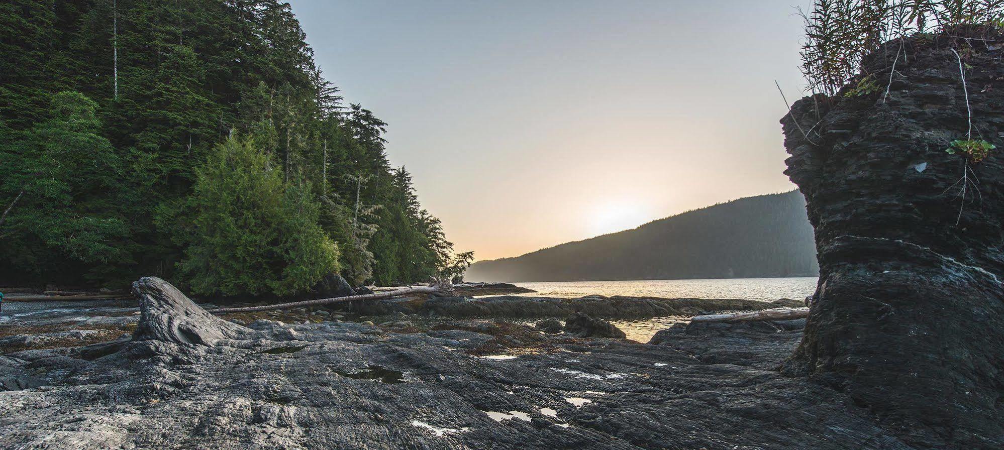 Wild Renfrew Seaside Cottages Port Renfrew Eksteriør billede